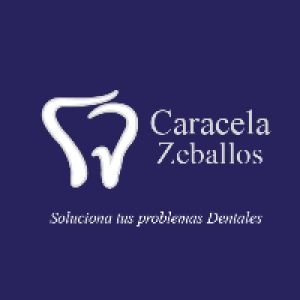 CENTRO ODONTOLOGICO CARACELA ZEBALLOS S.R.L.